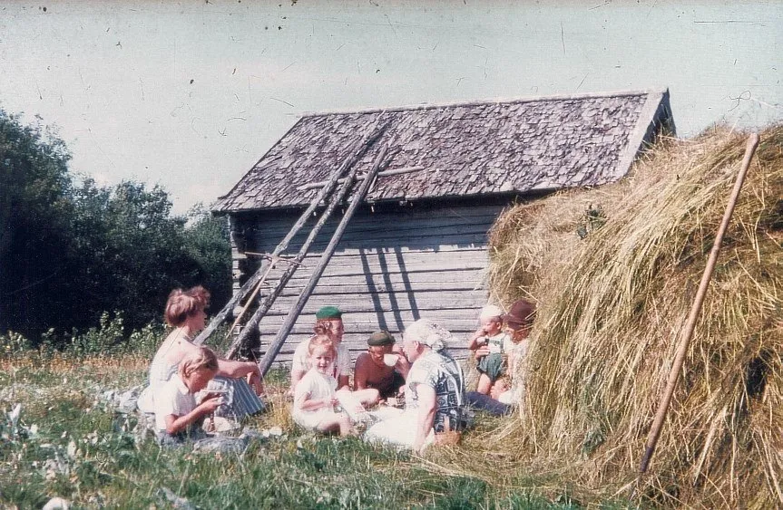 Familjen tar matrast vid höhässjan i solen.