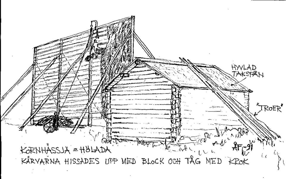 Teckning av en kornhässja/storhässja.